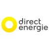 Logotipo da empresa DIRECTOR ENERGIA