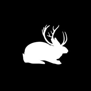 Logotipo da empresa THE JACKLOOP