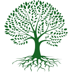 Logotipo da empresa MB PODAS E AREAS VERDES