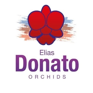 Logotipo da empresa WALKERIANA DONATO