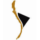 Logotipo da empresa ANP CONTABILIDADE LTDA