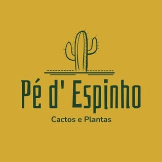 Logotipo da empresa PE D' ESPINHO