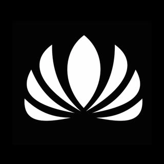 Logotipo da empresa ABSINTO STORE