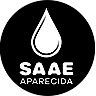 Logotipo da empresa SAAE
