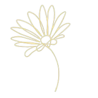 Logotipo da empresa TRANSCEND CONSULTORIA RH LTDA