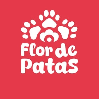 Logotipo da empresa CACAU SHOW