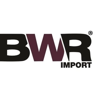 Logotipo da empresa BWR IMPORT
