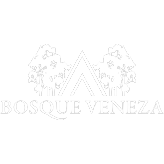 Logotipo da empresa BOSQUE VENEZA