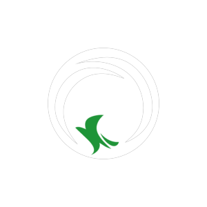 Logotipo da empresa FERNANDA COIMBRA BERNARDO