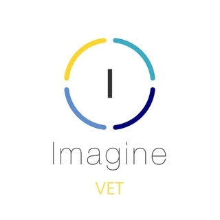 Logotipo da empresa IMAGINEVET