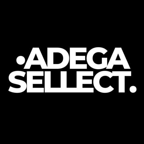 Logotipo da empresa ADEGA SELLECT