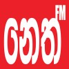 Logotipo da empresa FM-NET