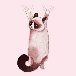 Logotipo da empresa FUNNY CATS ARRANHADORES