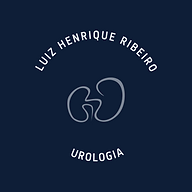Logotipo da empresa LUIZ HENRIQUE RIBEIRO SANTOS LTDA