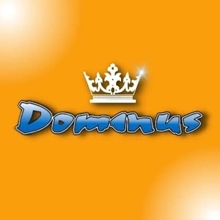 Logotipo da empresa DOMINOS CONDUTORES DAE