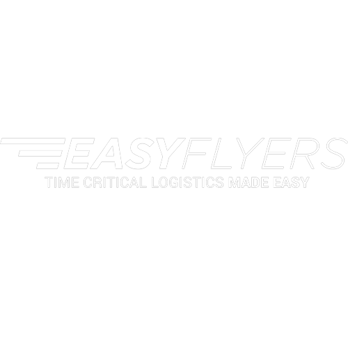 Logotipo da empresa EASYFLYERS
