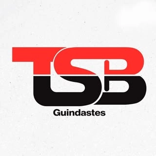 Logotipo da empresa TSB GUINDASTES LTDA