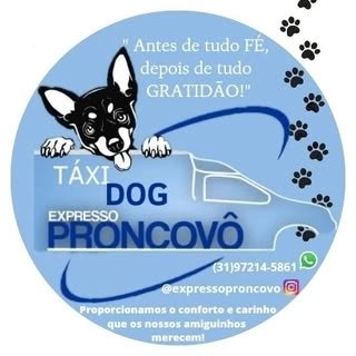 Logotipo da empresa EXPRESSO PRONCOVO