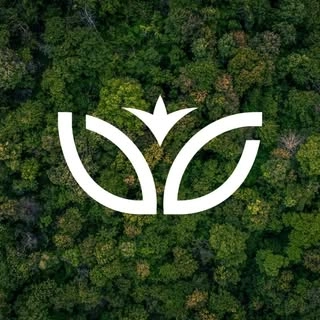 Logotipo da empresa VC ESSENCIAL