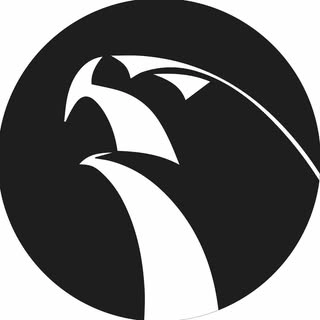 Logotipo da empresa ELITE JIU JITSU