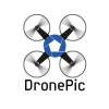 Logotipo da empresa DRONEXIS