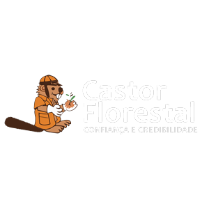 Logotipo da empresa MADEIREIRA CASTOR FLORESTAL