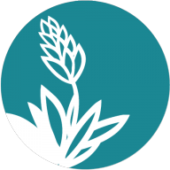 Logotipo da empresa LAINE AMARAL DO NASCIMENTO