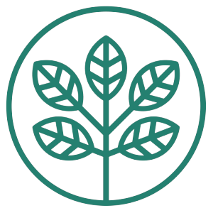 Logotipo da empresa PAU-BRASIL ASSESSORIA FLORESTAL