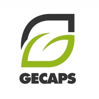 Logotipo da empresa GECAPS