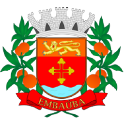 Logotipo da empresa FMDCA - EMBAUBA