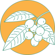 Logotipo da empresa INES CENTRO