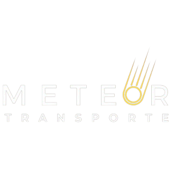 Logotipo da empresa METEOR TRANSPORTE RODOVIARIO LTDA