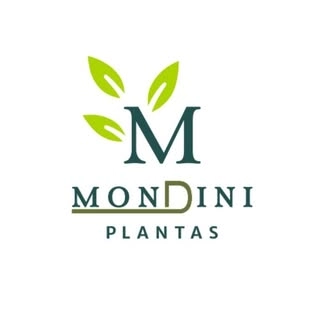 Logotipo da empresa MONDINI SERVICOS ADMINISTRATIVOS LTDA
