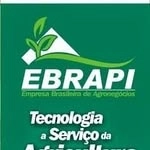 Logotipo da empresa EBRAPI AGRONEGOCIOS LTDA