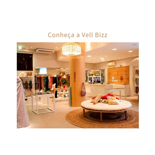 Logotipo da empresa VELLBIZZ