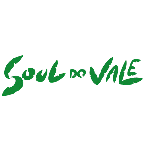 Logotipo da empresa SOUL DO VALE