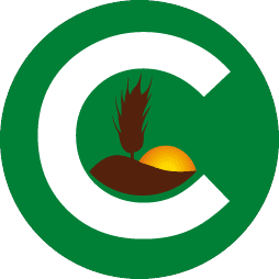 Logotipo da empresa CAPICI S A