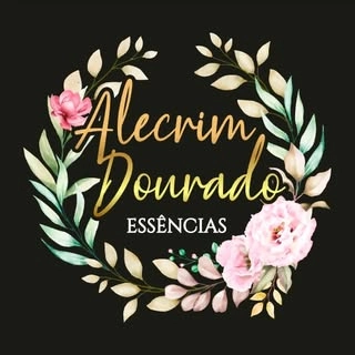 Logotipo da empresa FRANCHI NORTE DISTRIBUICAO LTDA