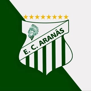 Logotipo da empresa COPA ARANAS
