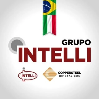 Logotipo da empresa INTELLI