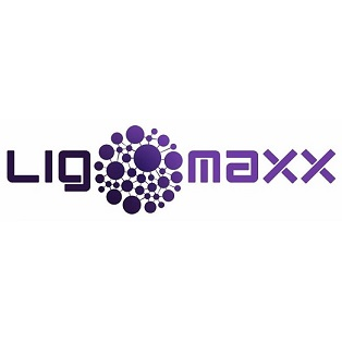 Logotipo da empresa PHS TRANSPORTES LOGISTICOS