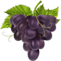 Logotipo da empresa VIVEIRO POSTAY LTDA