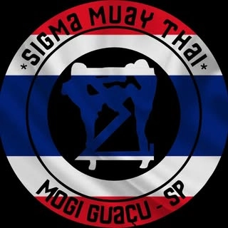 Logotipo da empresa DISENSA MOGI GUACU