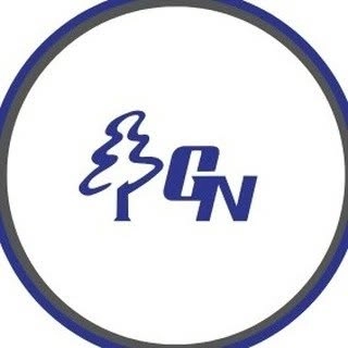 Logotipo da empresa GN PALMAR