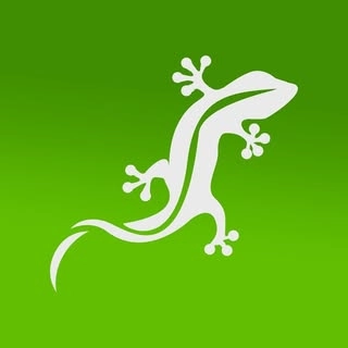 Logotipo da empresa LIZARD CONSTRUTORA