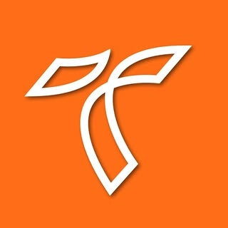 Logotipo da empresa TERRANALT ENGENHARIA