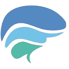 Logotipo da empresa WISE WEBSITES