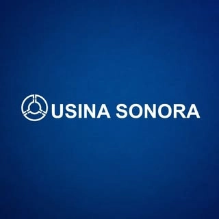 Logotipo da empresa USINA SONORA