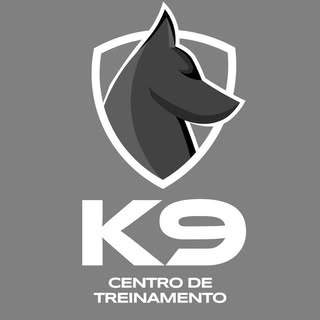 Logotipo da empresa K9 CENTRO DE TREINAMENTO