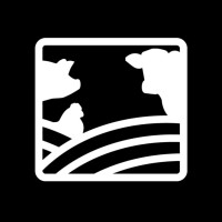 Logotipo da empresa HN AGRO
